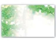 メッセージカード新緑の画像