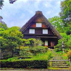 東山植物園で撮影された千種区こあらっち賞受賞作品