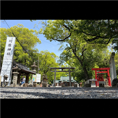川原神社で撮影されたハッチー賞受賞作品