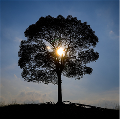 大高緑地で撮影された優秀賞受賞作品