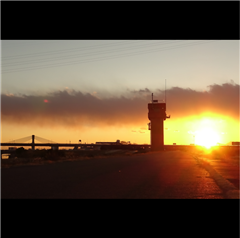 庄内川(小田井水門付近)で撮影されたハッチー賞受賞作品