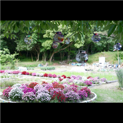 明徳公園で撮影された入賞受賞作品