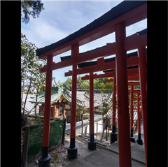 日吉神社で撮影された入賞受賞作品