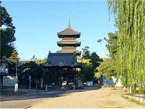 八事山興正寺の写真