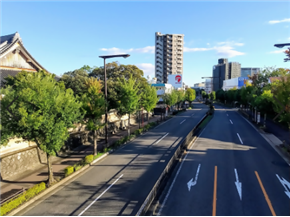 山手グリーンロードの写真