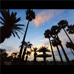 市バス沿線フォトコンテスト港区編の最優秀賞作品の画像です