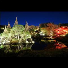 市バス沿線フォトコンテスト熱田区編の入賞作品の画像です